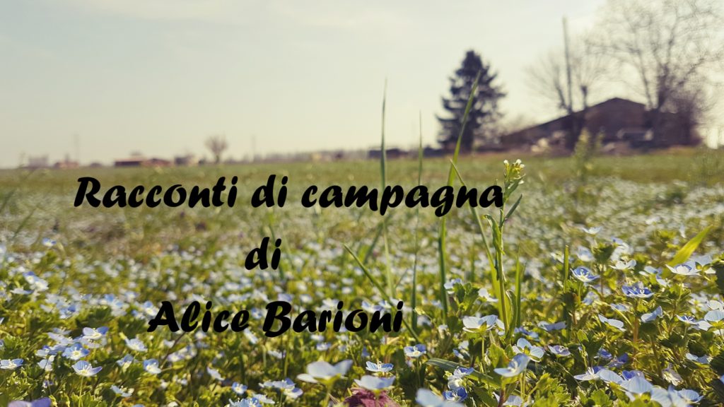 ALice Barioni (Racconti di campagna)